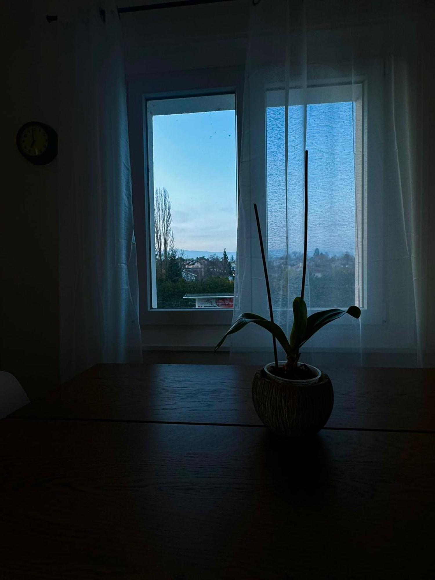 Sejour Calme Pres Du Leman Appartement